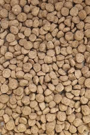 Pik Dog SENIOR • LIGHT